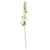 White Hollyhocks | Putti Fine Furnishings 