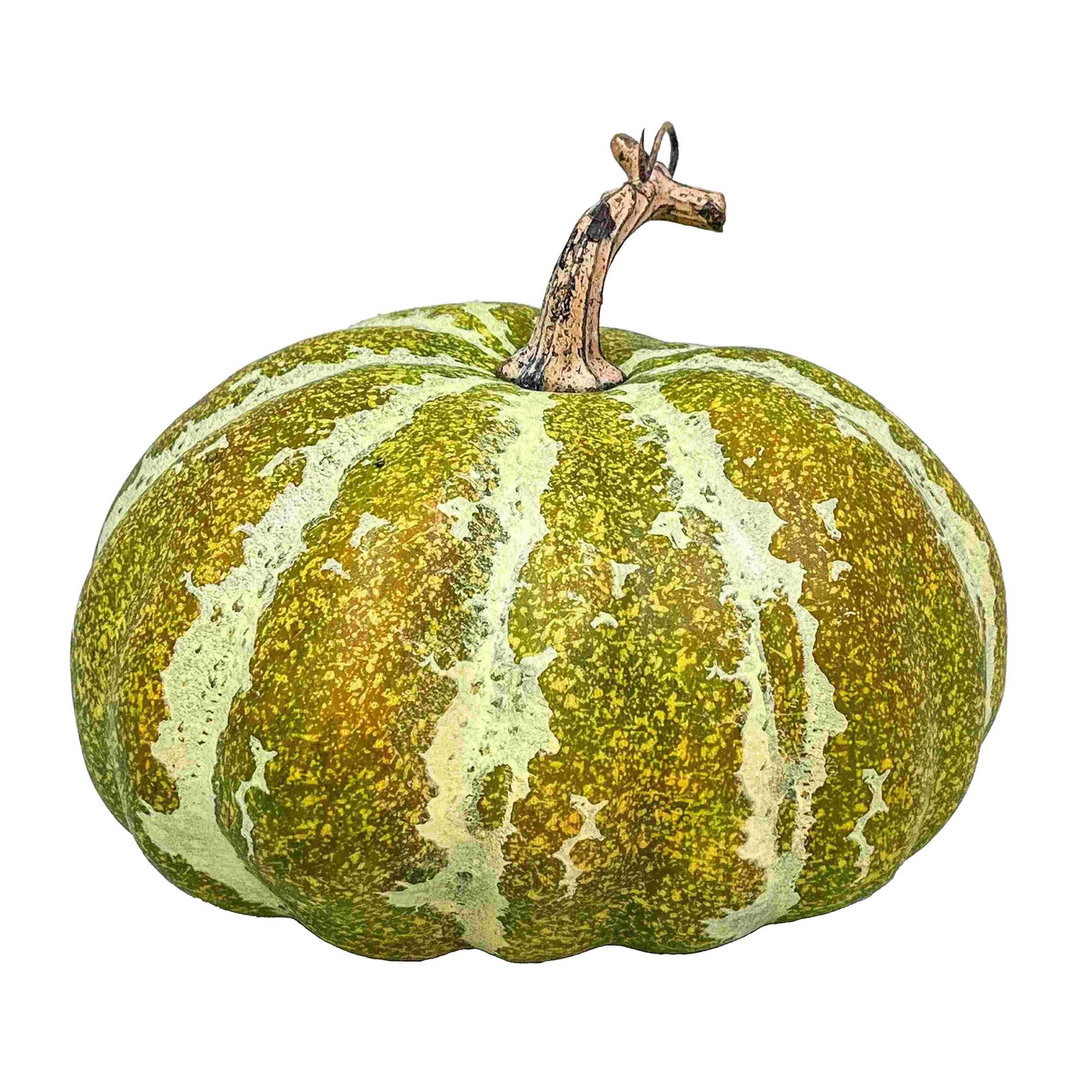 Green Fall Pumpkin 180mm