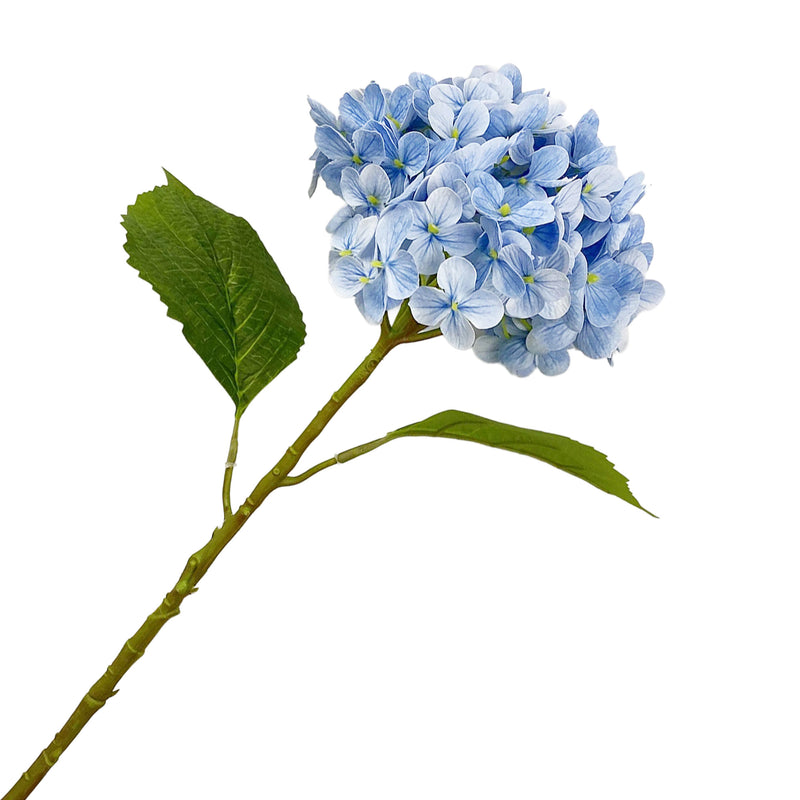 Blue Hydrangea Stem