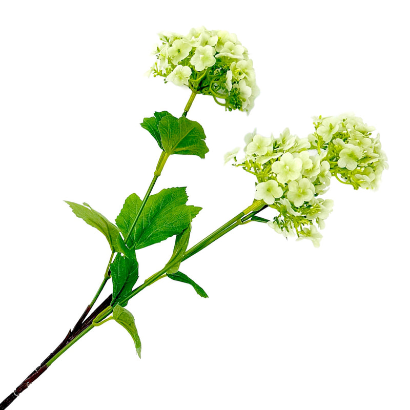 Green Hydrangea Branch | Putti Fine Furnishings 