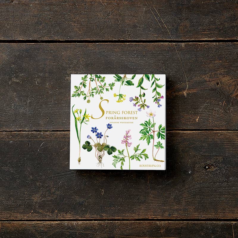 Spring Forest Note Cards