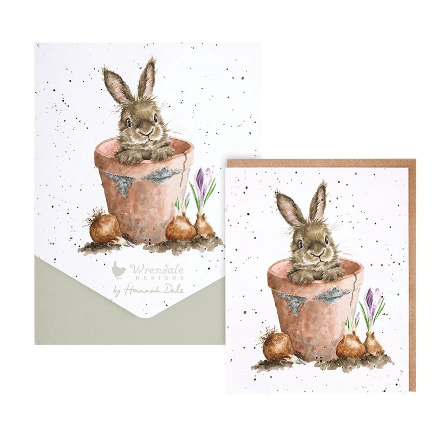 Wrendale "The Flower Pot" Rabbit Note Card Pack | Putti Fine Furnishings 