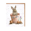 Wrendale "The Flower Pot" Rabbit Note Card Pack | Putti Fine Furnishings
