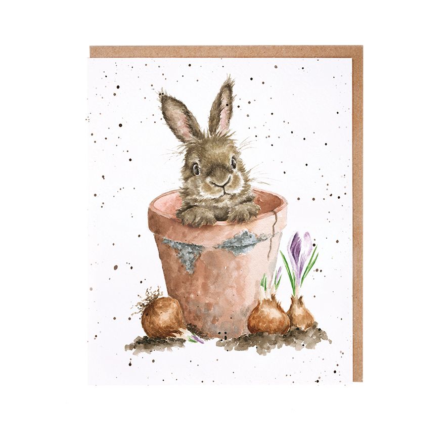 Wrendale "The Flower Pot" Rabbit Note Card Pack | Putti Fine Furnishings