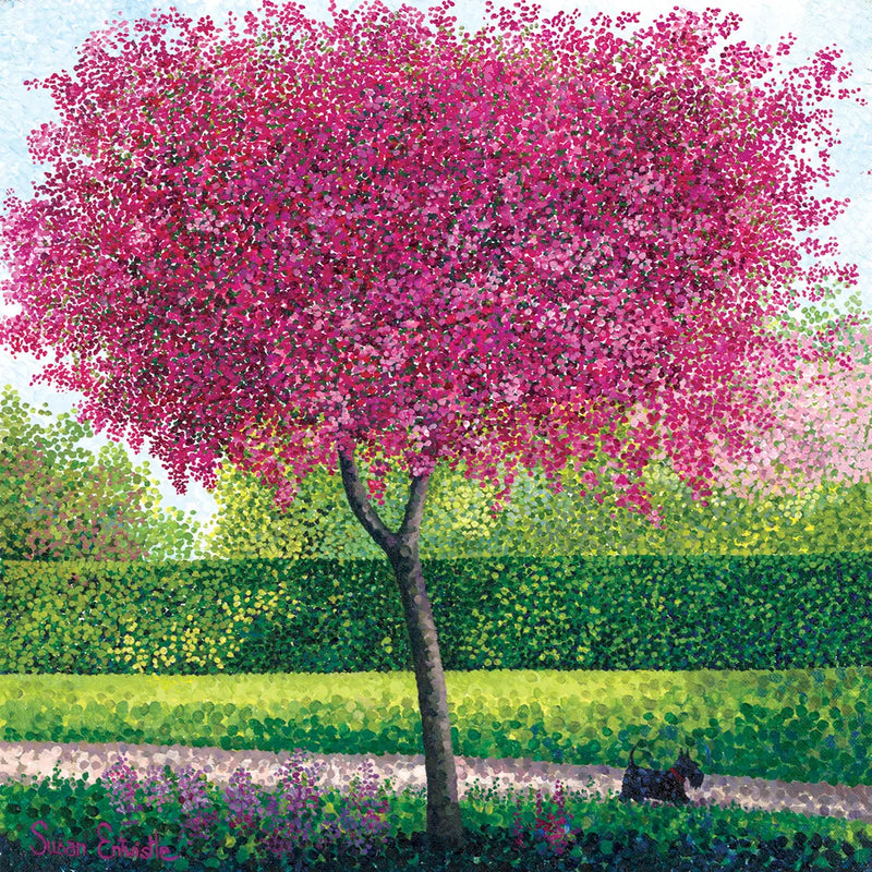 Susan Entwistle Crab Apple Blossom Greeting Card  | Putti Celebrations 