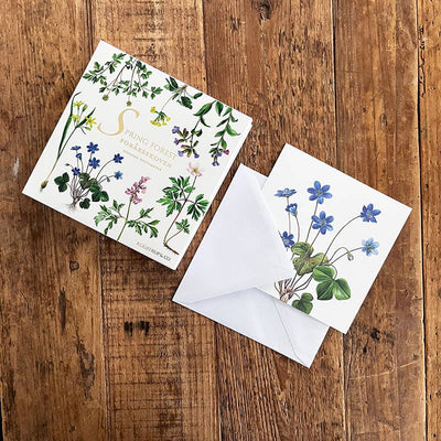 Spring Forest Note Cards