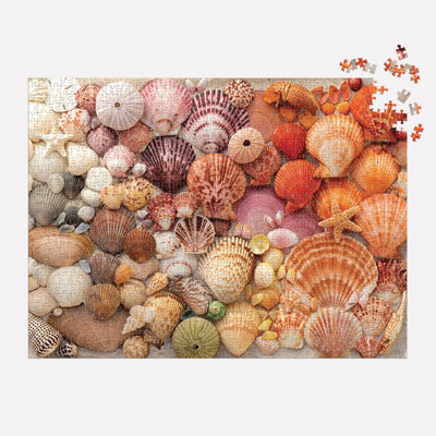 Vibrant Seashells 1000 Piece Puzzle - Putti Fine Furnishings