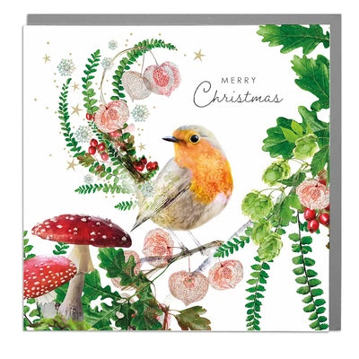 Robin "Happy Christmas" Boxed Christmas Cards | Putti Christmas