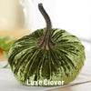 Small Velvet Pumpkin - Luxe Clover