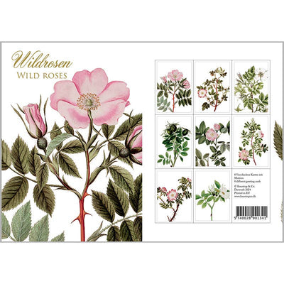 Wild Rose Note Cards