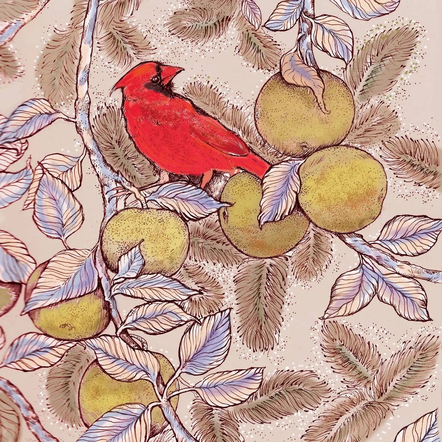 Cardinal and Apples Greeting Card