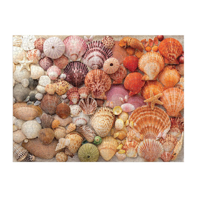 Vibrant Seashells 1000 Piece Puzzle - Putti Fine Furnishings