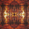 Autumn Forest Paper Lunch Napkins