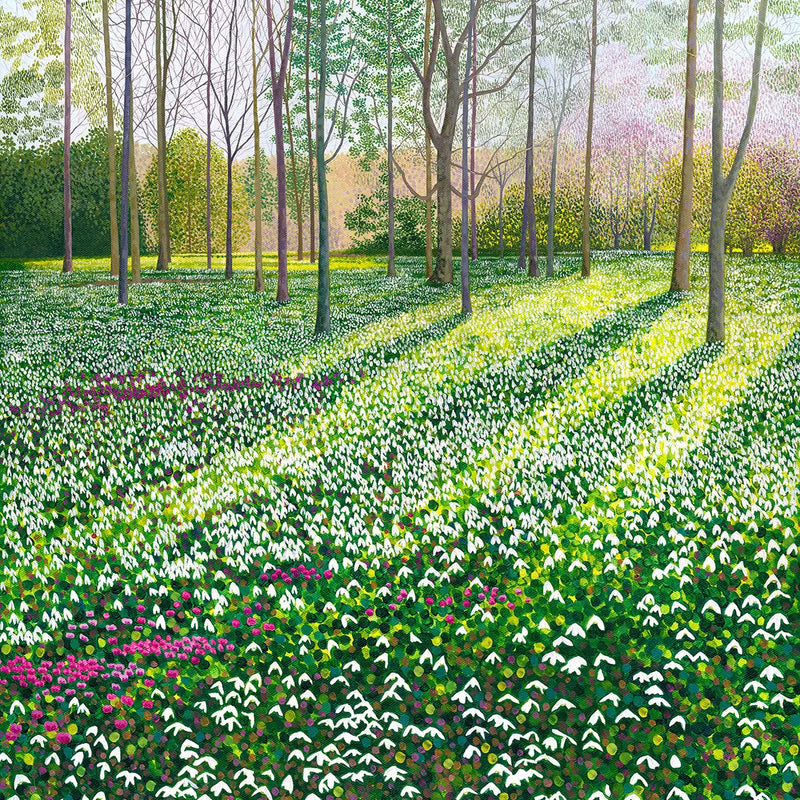 Susan Entwistle Snowdrops & Cyclamen Greeting Card  | Putti Celebrations 