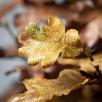 Sullivans Oak Leaf Spray  | Putti Fine Furnishings