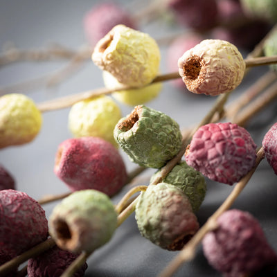 Autumn Berry Spray