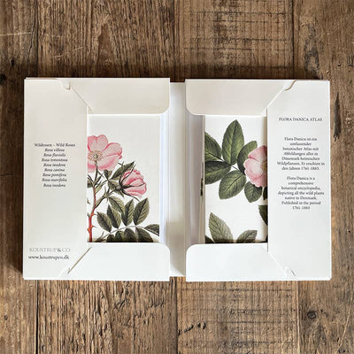 Wild Rose Note Cards