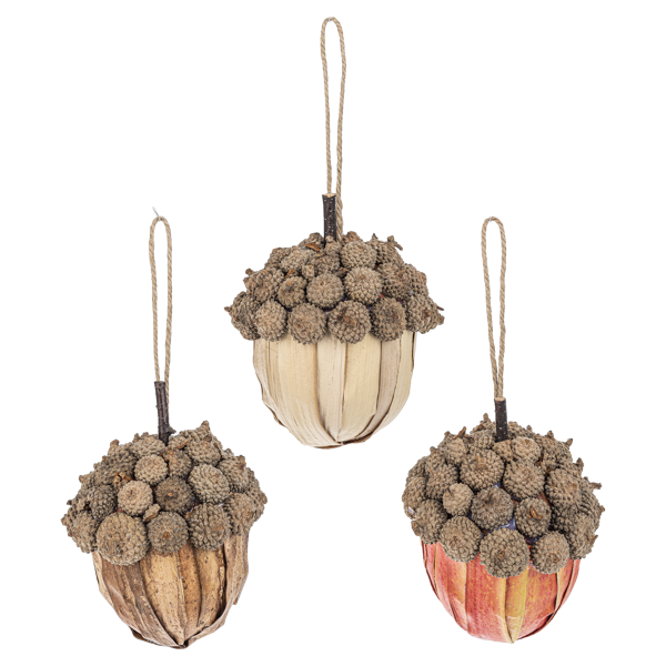 Decorative Acorns Ornaments | Putti Fall Decor 