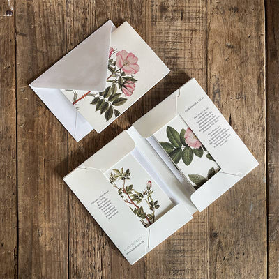 Wild Rose Note Cards