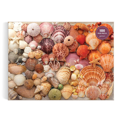 Vibrant Seashells 1000 Piece Puzzle - Putti Fine Furnishings