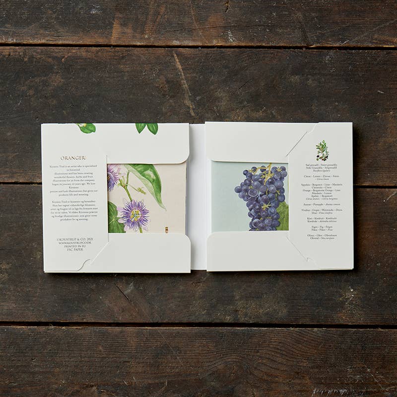 Conservatory Note Cards