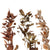 Fall Eucalyptus Leaf Garland