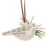 Bird with Pine Glass Ornament