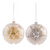 Sand Dollar Glass Ornament | Putti Christmas Decorations 