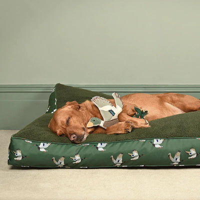 Duck Dog Toy
