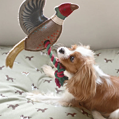 Sophie Allport Pheasant Dog Toy | Putti Fine Furnishings