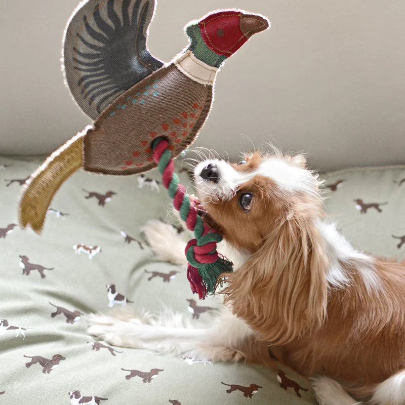 Sophie Allport Pheasant Dog Toy | Putti Fine Furnishings 