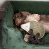 Hedgehog Dog Toy