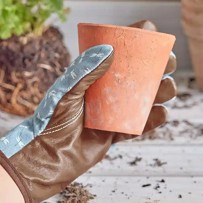 Sophie Allport “Dragonfly" Garden Gloves | Putti Fine Furnishings
