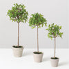 Mini Leaf Topiary