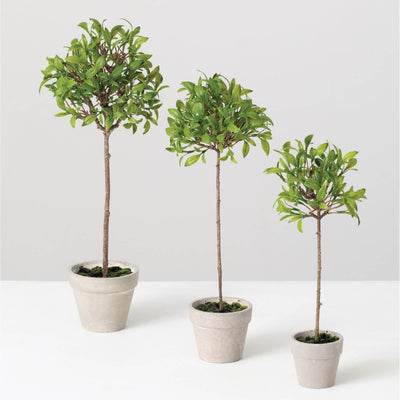 Mini Leaf Topiary