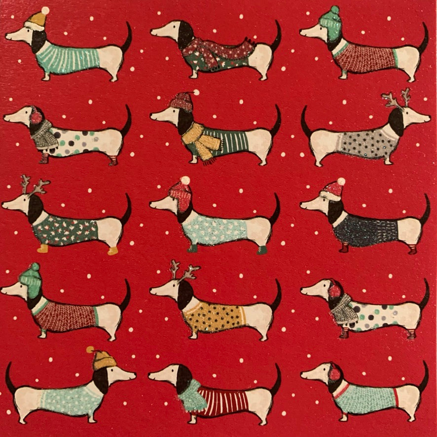 Dachshund in Christmas Coats Greeting Card