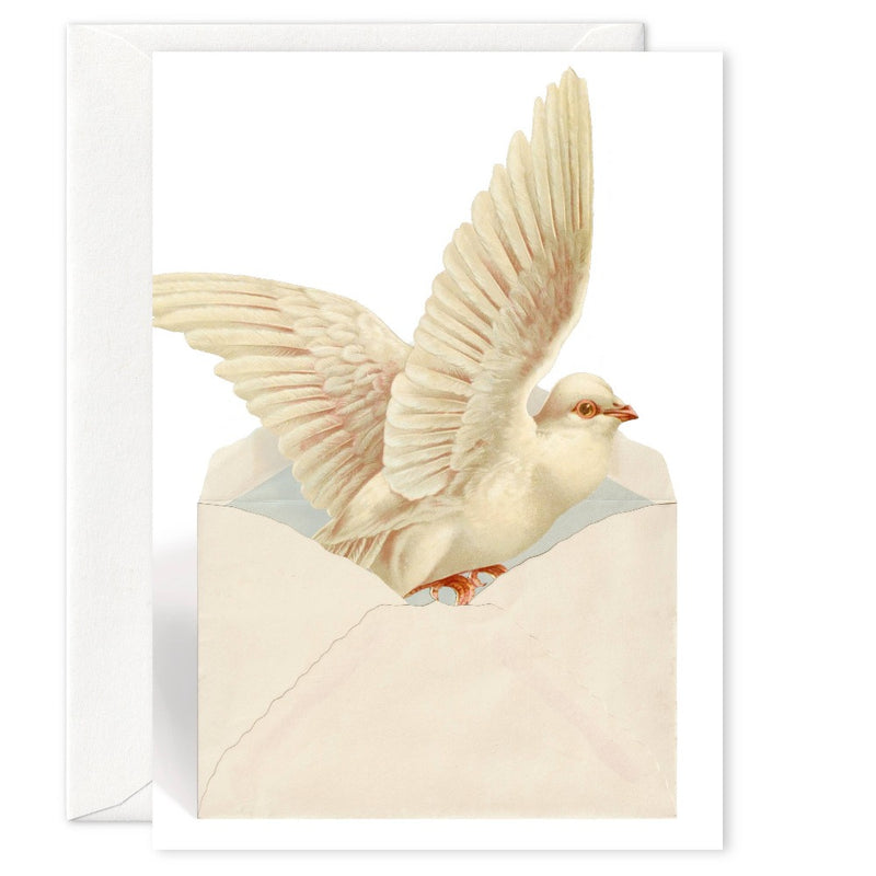 Pictrix Design "Dove" Greeting Card | Putti Fine Furnishings 