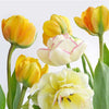 Yellow Tulips Paper Napkins - Lunch | Putti Celebrations
