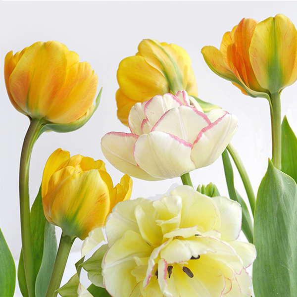 Yellow Tulips Paper Napkins - Lunch | Putti Celebrations 