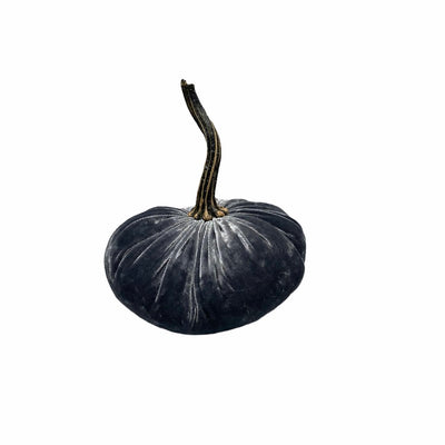 Small Velvet Pumpkin - Luxe Platinum |  Putti Fine Furnishings Canada