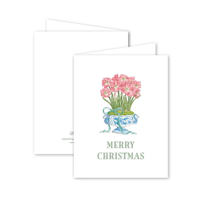 Amaryllis "Merry Christmas" Greeting Card