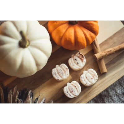 Pumpkin Patch Wax Melts 4pcs - Pumpkin Spice and All Things Nice  | Putti Fine Furnishings