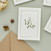 "The Botanist Archive: Festive Edition" Greeting Card - Mistletoe