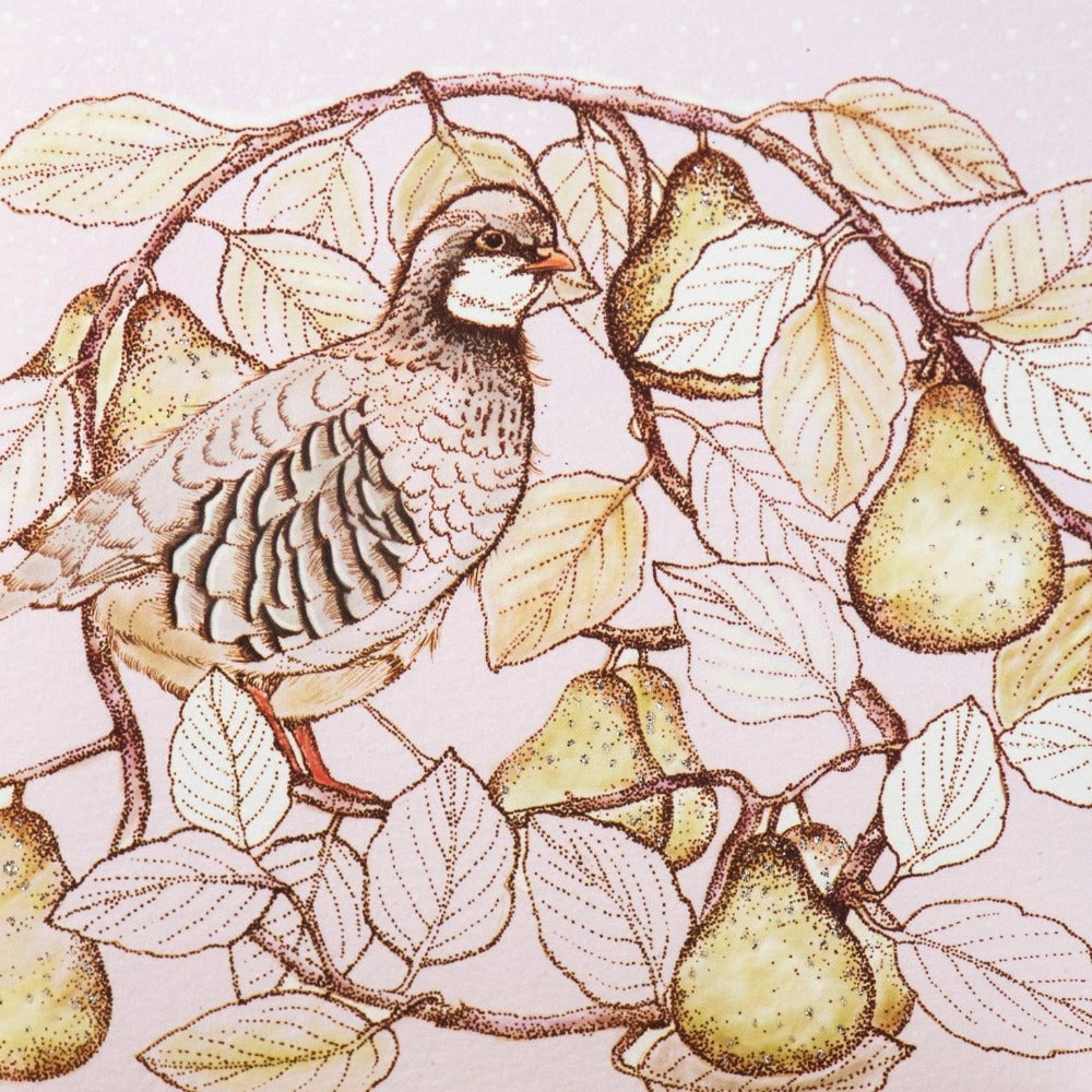 Red-legged Partridge Greeting Card