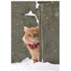 Palm Press Ginger Cat in the Snow Boxed Christmas Cards | Putti