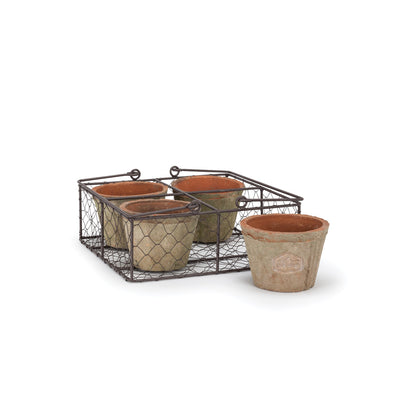 Quad Moss Pot in Basket, AC-Abbott Collection, Putti Fine Furnishings