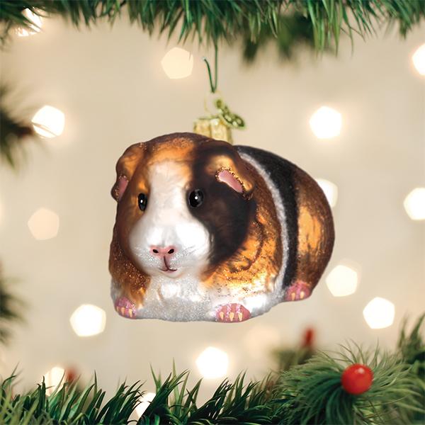 Old World Christmas Guinea Pig Glass Ornament | Putti Christmas 
