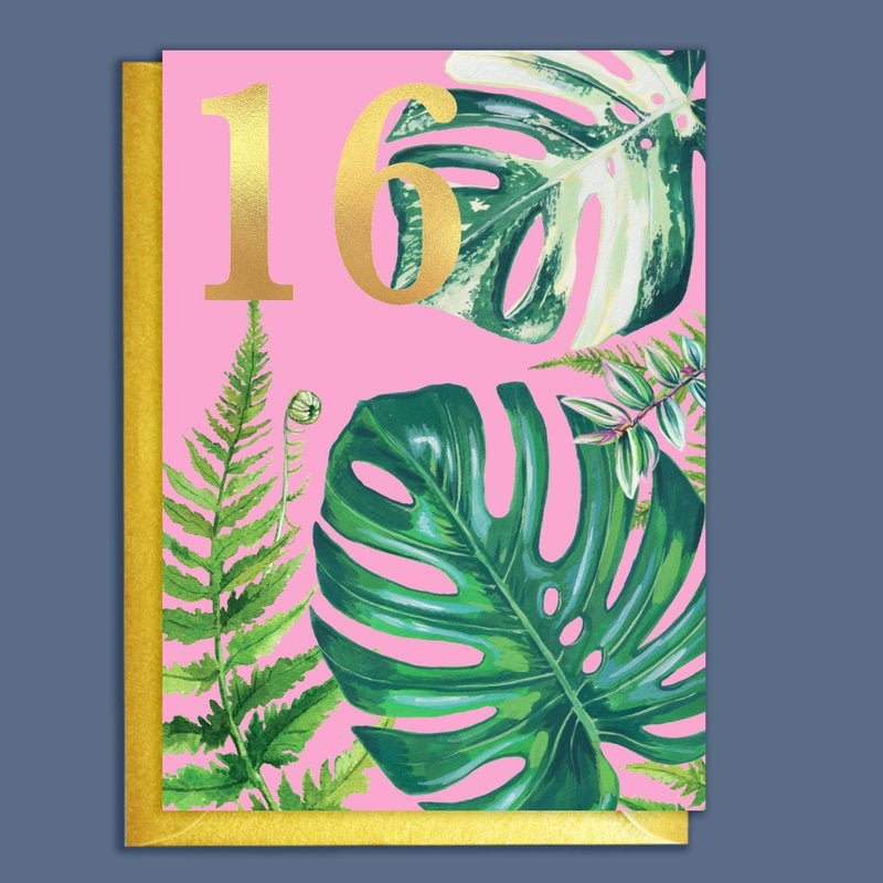 16th Birthday Houseplants Birthday Card | Putti Fine Furnishings 