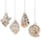  Mercury Glass Shell Ornaments, MW-Midwest / CBK, Putti Fine Furnishings
