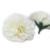 Ivory Soap Petal Carnation
